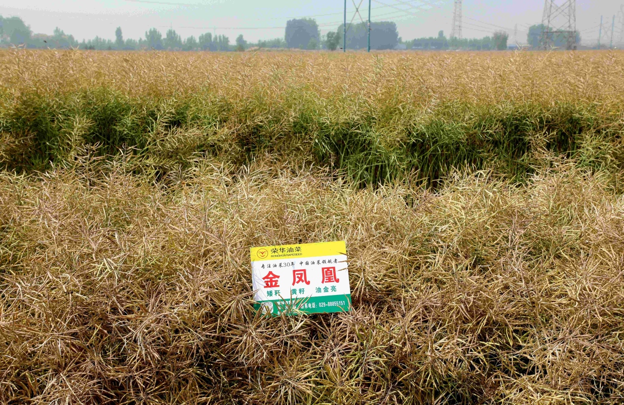 1716776460364016533.png 圖片