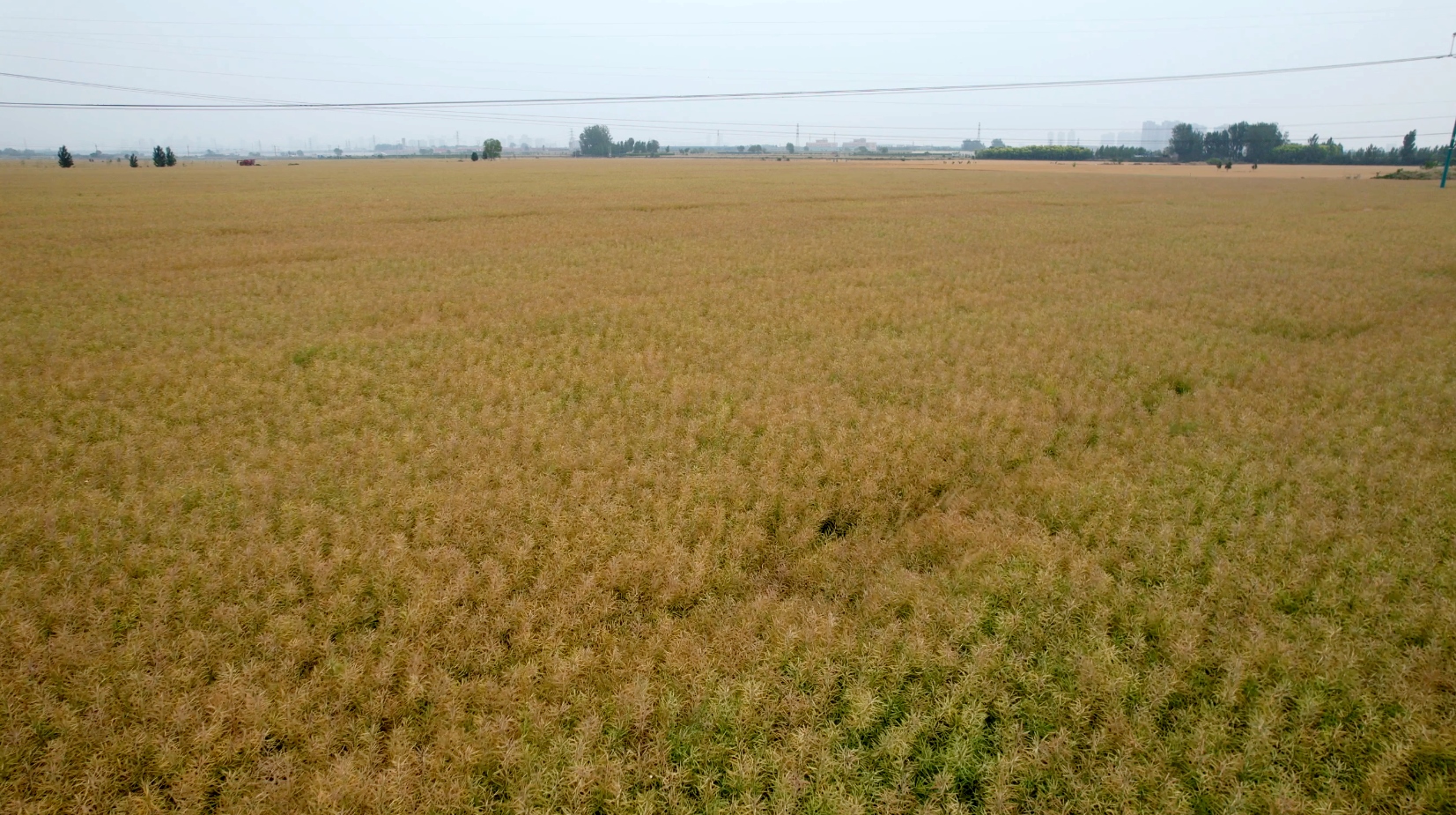 1716776499652074098.png 圖片